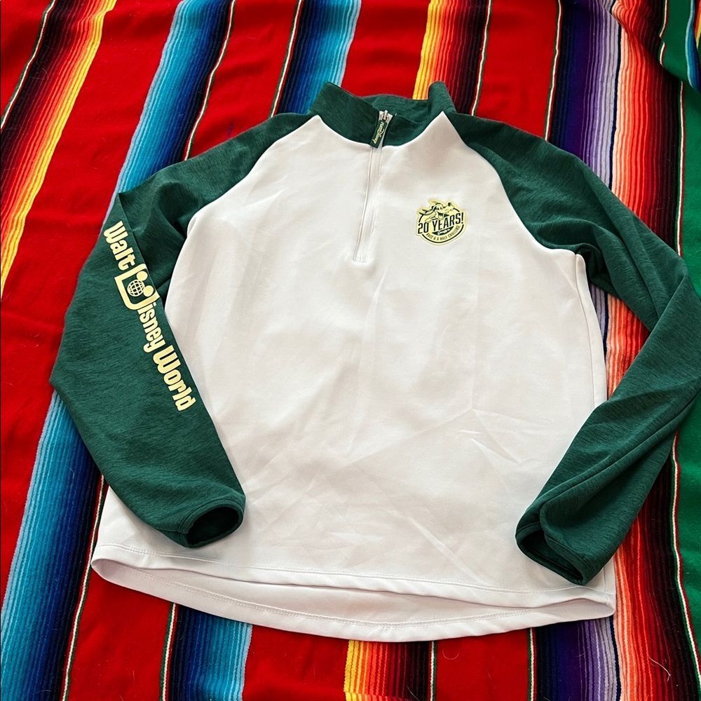 Disney goofy Run Disney challenge pullover hoodie 20th anniversary